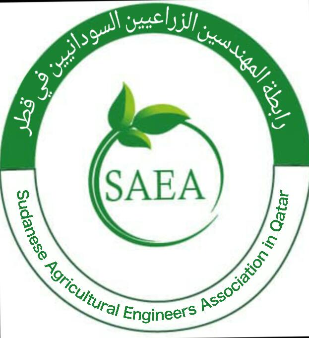 Default Logo